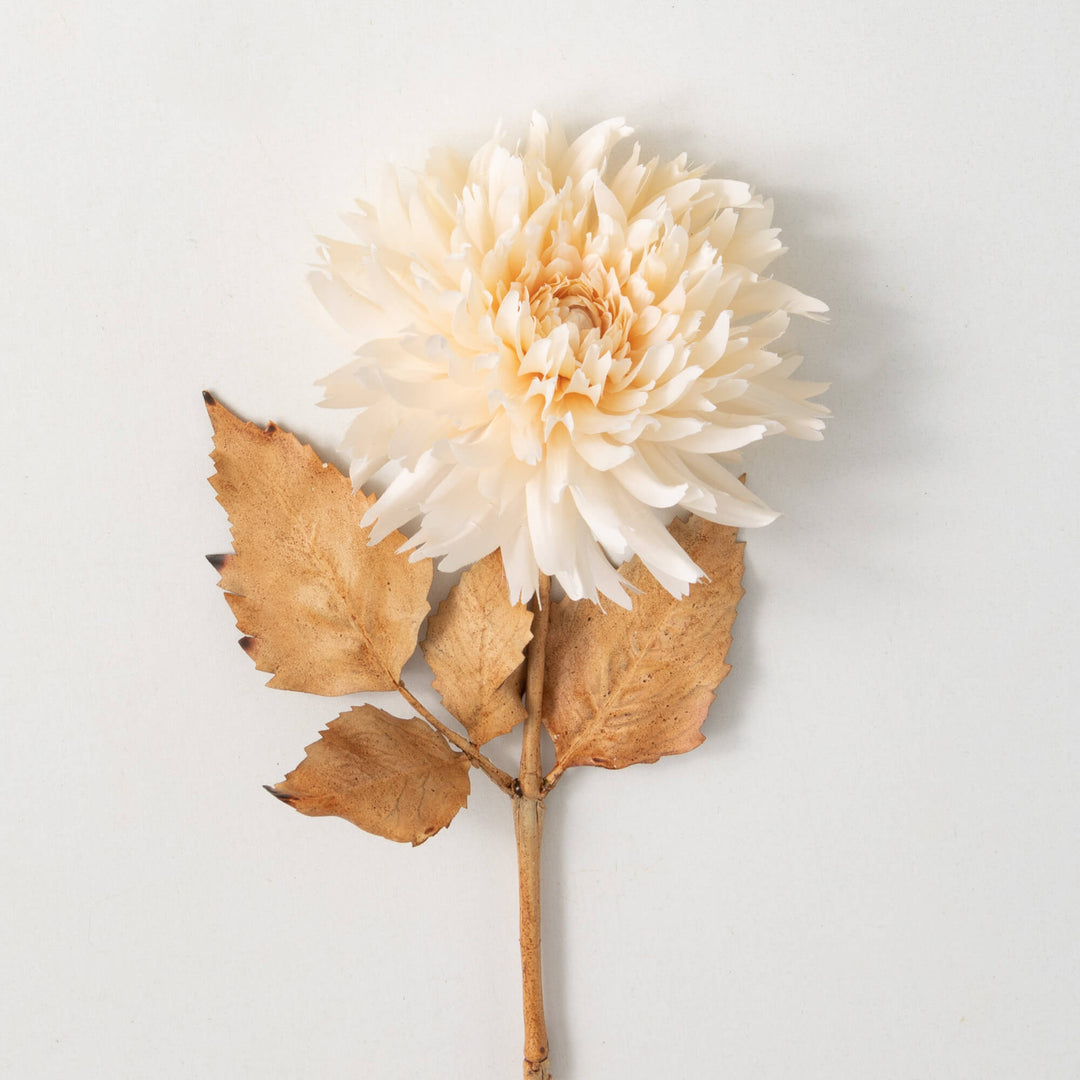 27.5" Cream Blossoming Dahlia Stem