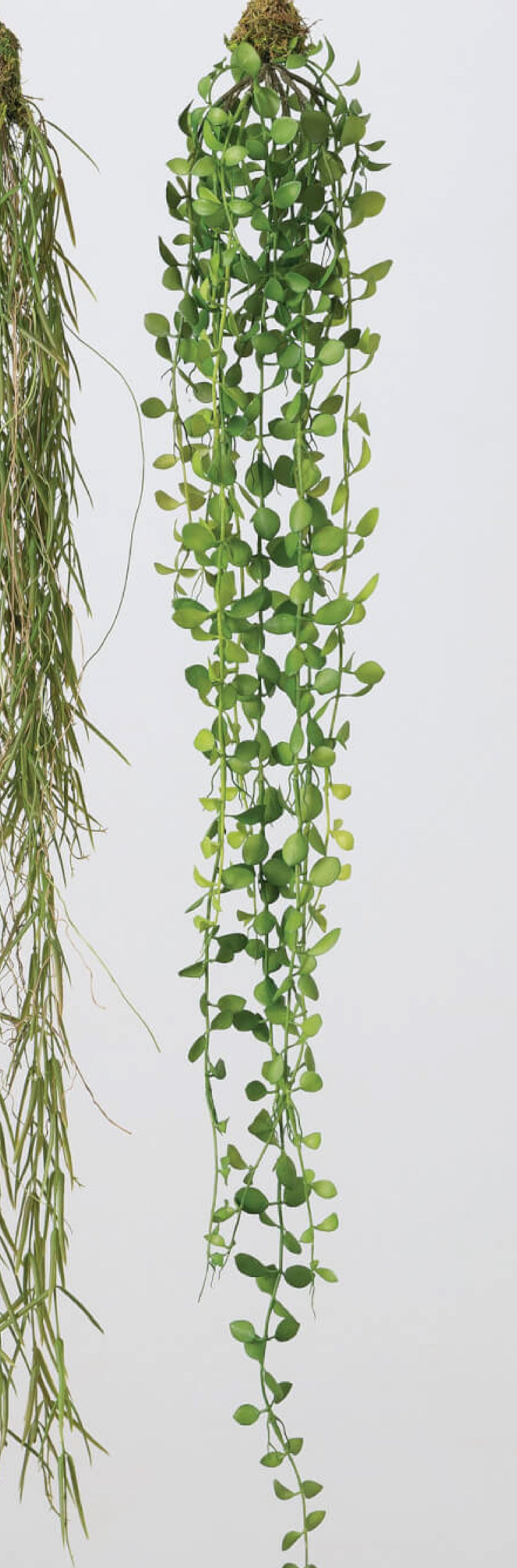 Hanging Teardrop Greens