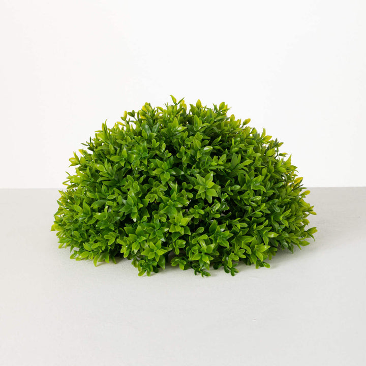 13" Leafy Boxwood Half Orb