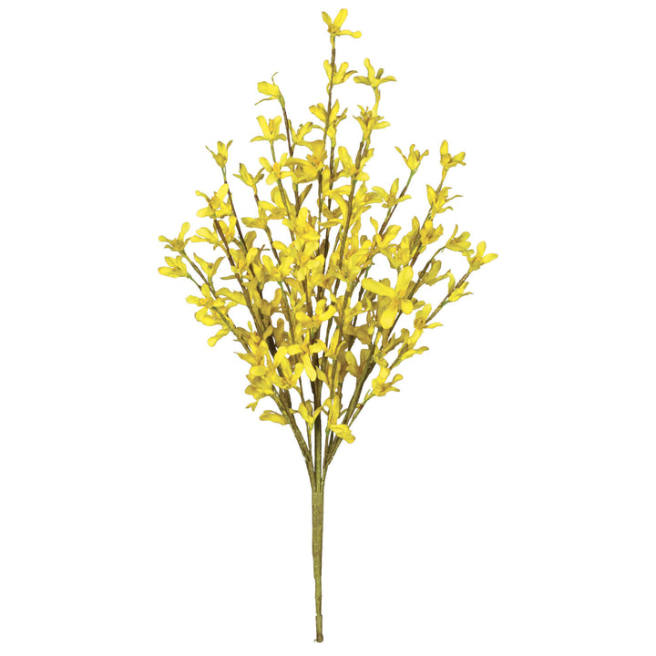 18" Forsythia Blossoming Branch