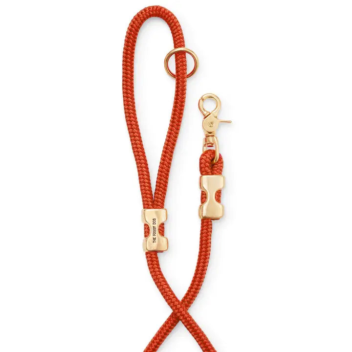 Cider Marine Rope Dog Leash, 5 Foot
