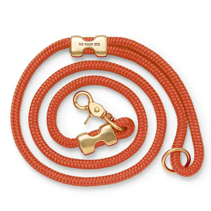 Cider Marine Rope Dog Leash, 5 Foot