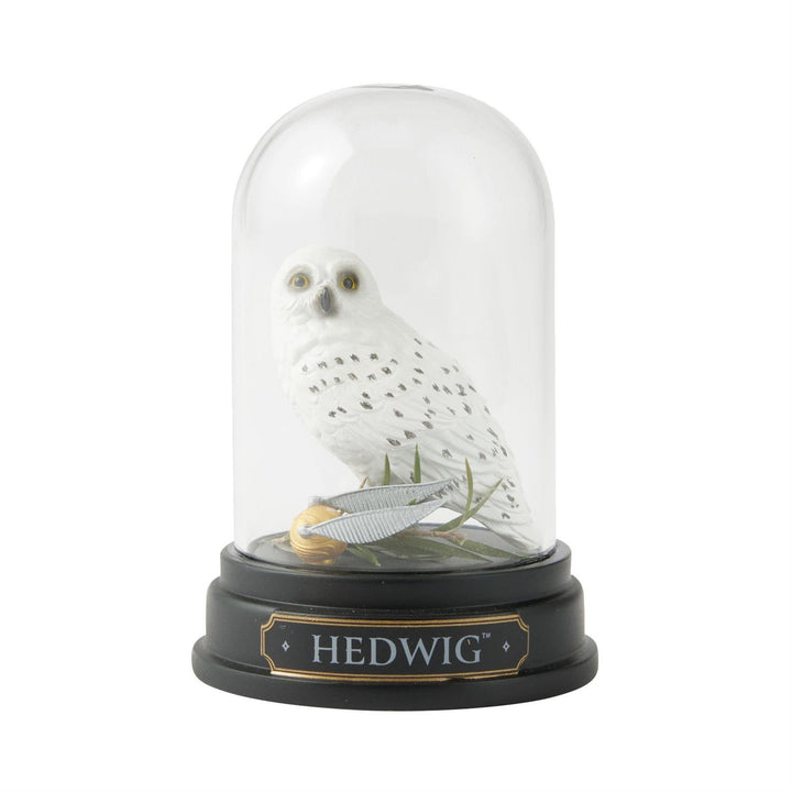 Hedwig Curiosity Cloche, Wizarding World of Harry Potter