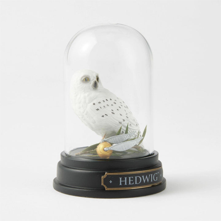 Hedwig Curiosity Cloche, Wizarding World of Harry Potter