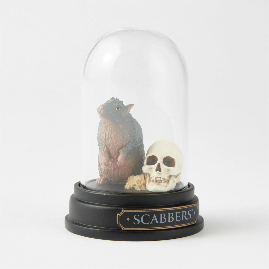 Scabbers Curiosity Cloche, Wizarding World of Harry Potter