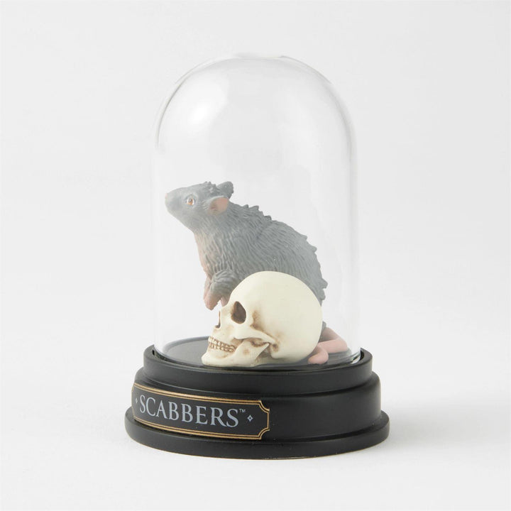 Scabbers Curiosity Cloche, Wizarding World of Harry Potter