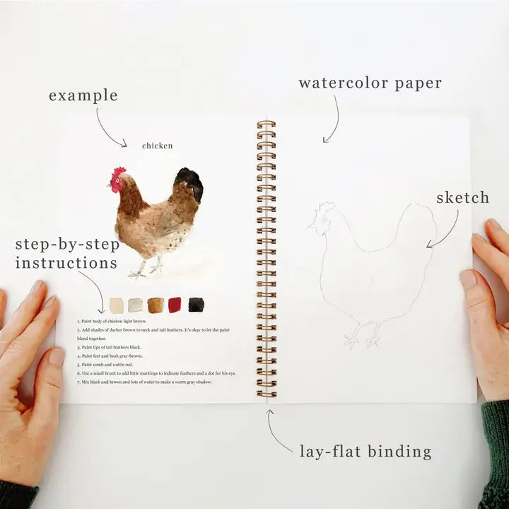 Watercolor Painting Workbooks, Step-by-Step Art Books