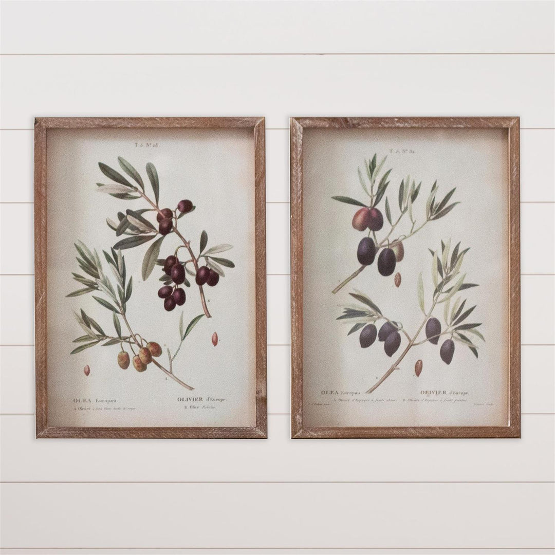 Two framed botanical prints of olive branches on a white wooden wall.
