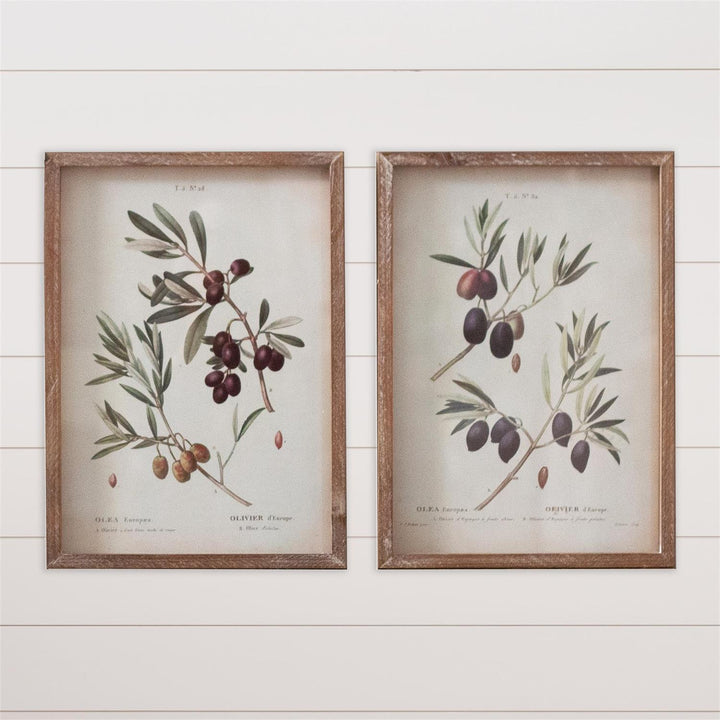 Two framed botanical prints of olive branches on a white wooden wall.