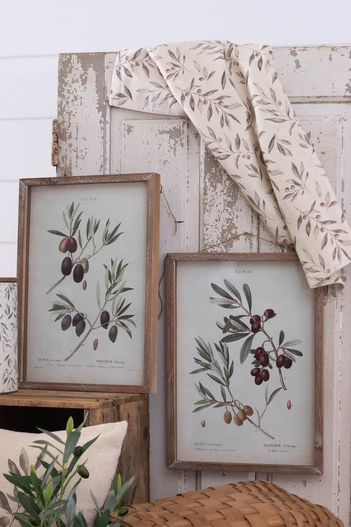Vintage Olive Branch Botanical Framed Print – 16.5" x 12"