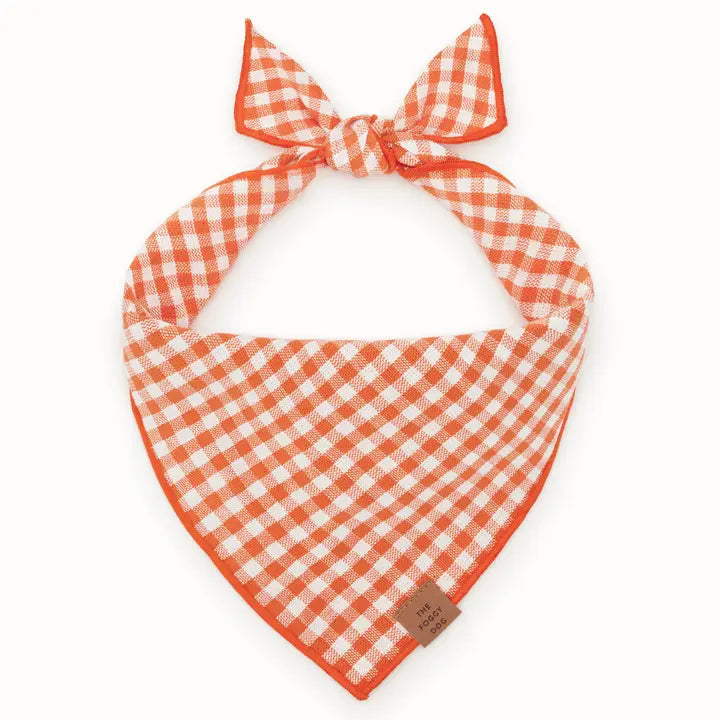 Cider Gingham Tie-On Dog Bandana