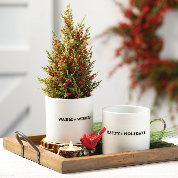 Cedar Tree with Red Berries