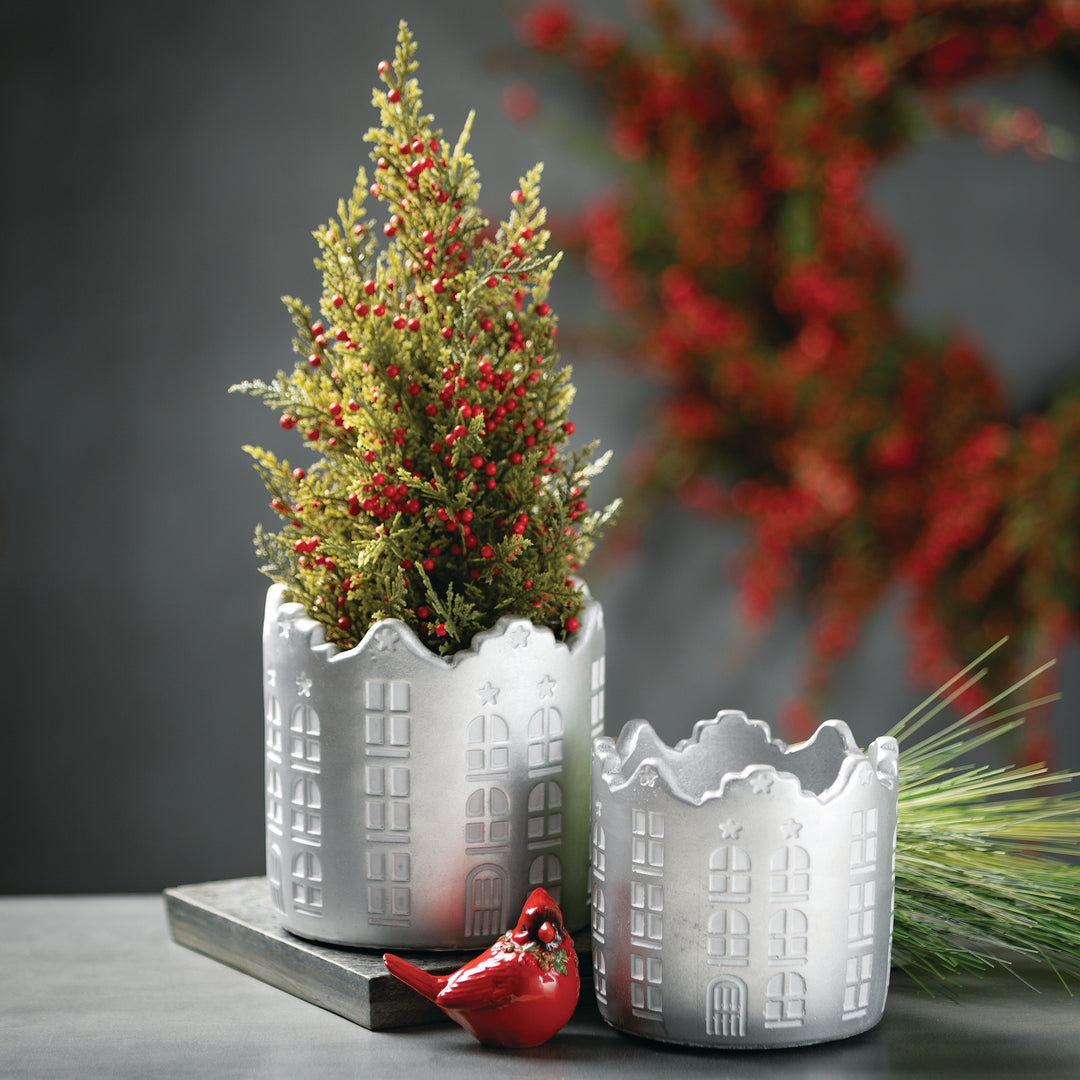 Cedar Tree with Red Berries