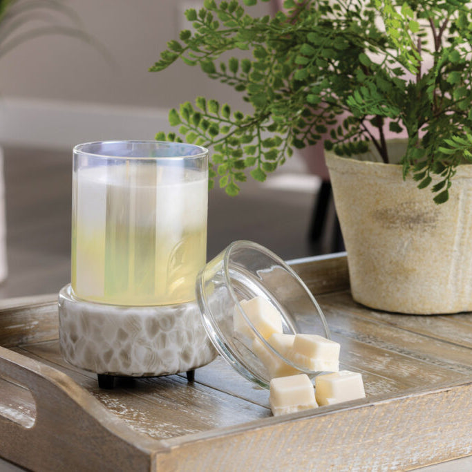 Glass of lemonade with a lemon slice on a decorative tray with a plant in the background