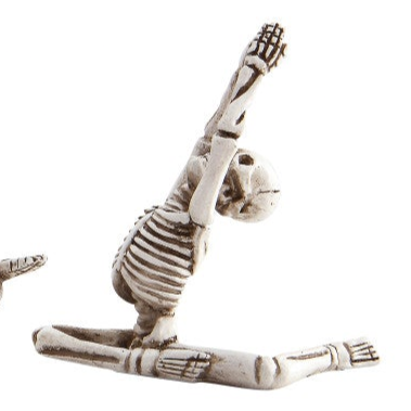 Yoga Skeletons