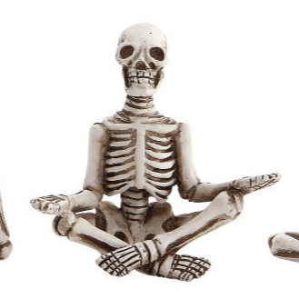 Yoga Skeletons
