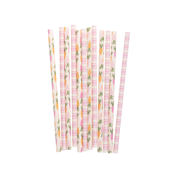 Carrots and Stripes Reusable Straws, 12 ct