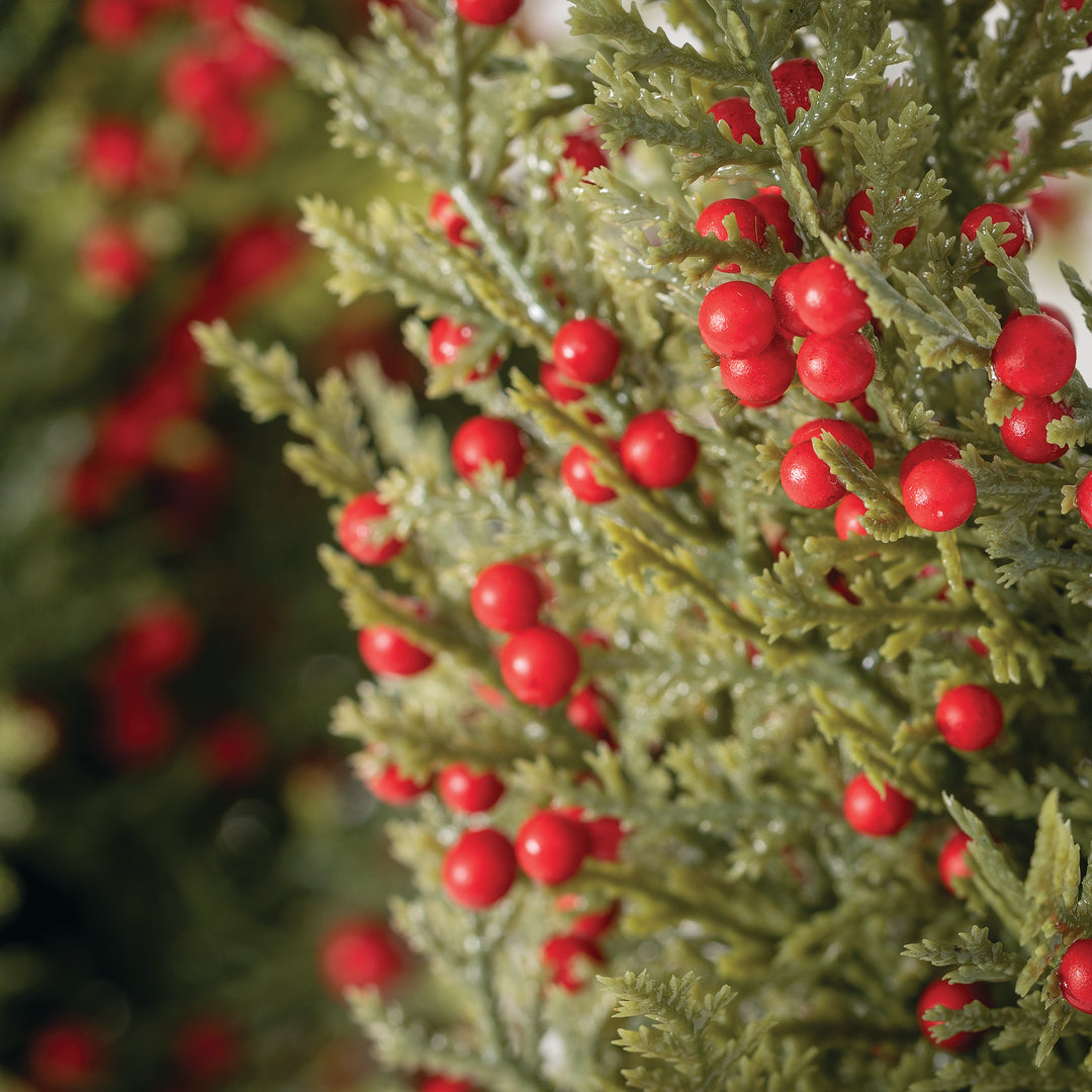 Cedar Tree with Red Berries