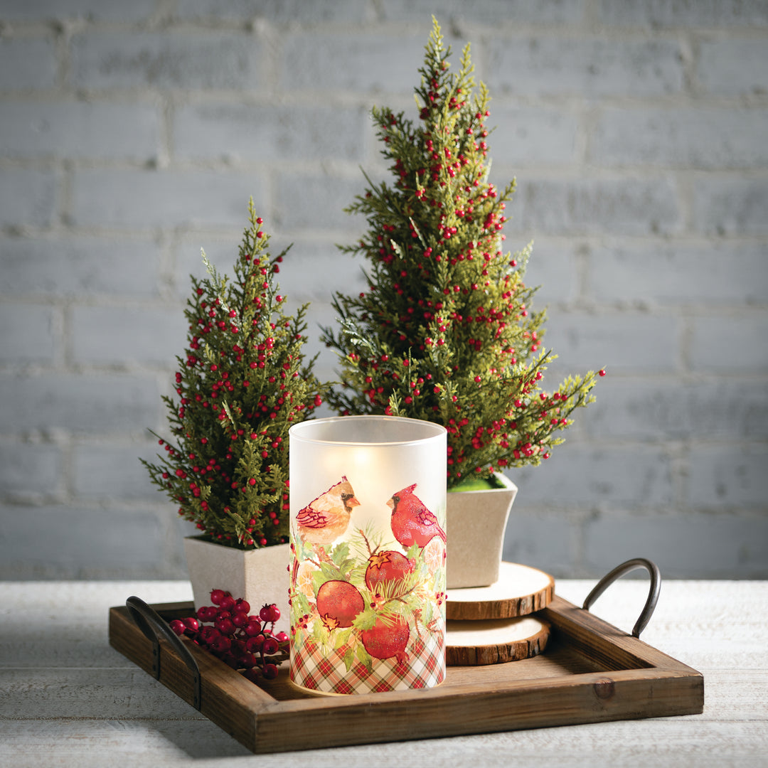 Cedar Tree with Red Berries