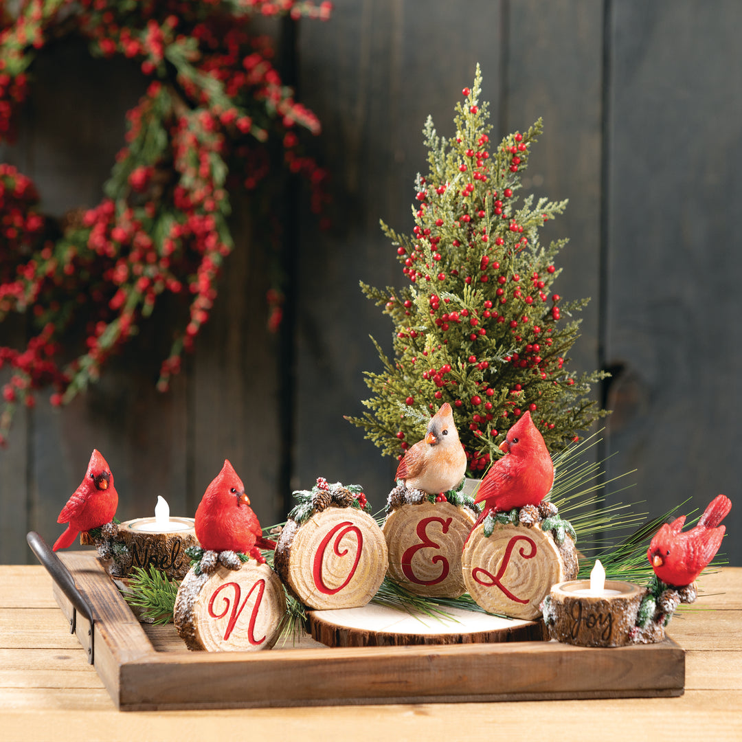 Cedar Tree with Red Berries