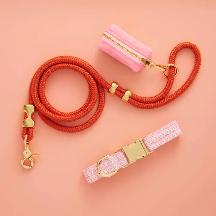 Cider Marine Rope Dog Leash, 5 Foot