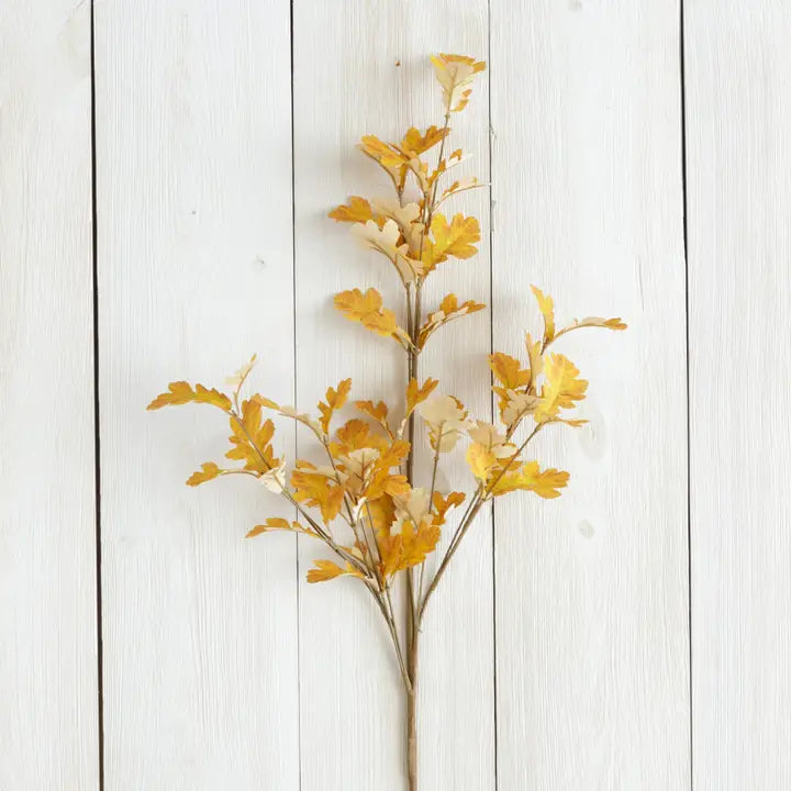Orange Oak Leaf Fall Branch