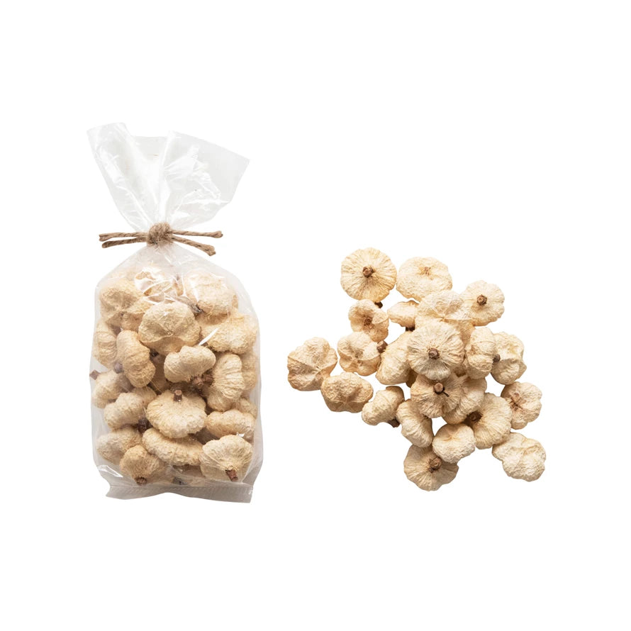 Dried Natural Peepal Pods, White Vase Filler 25 pieace