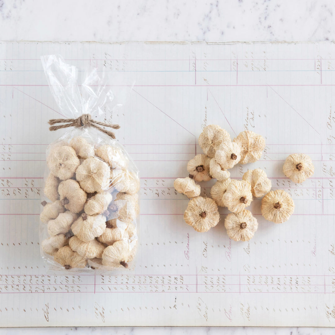 Dried Natural Peepal Pods, White Vase Filler 25 pieace