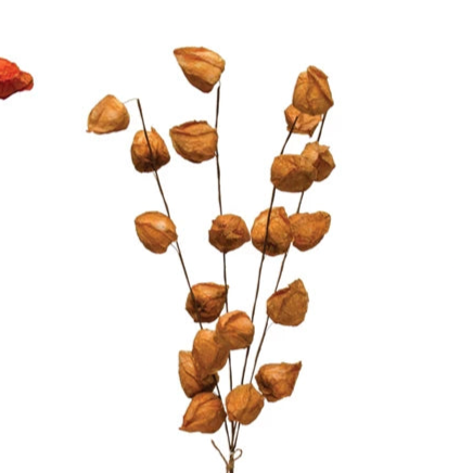 Two bundles of dried flowers, one red and one brown, on a white background.