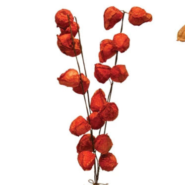 Two bundles of dried flowers, one red and one brown, on a white background.