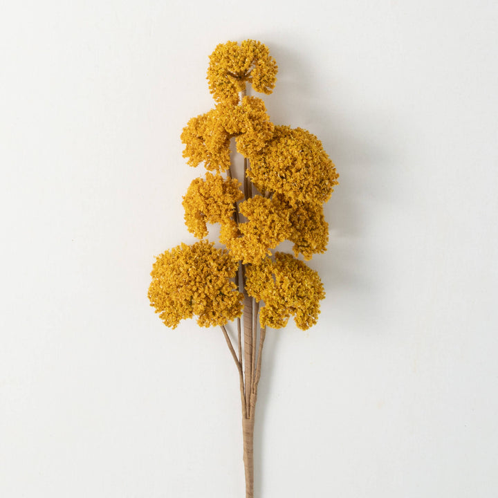 Yarrow Bunch Mustard Yellow