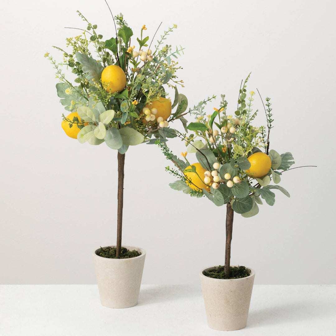 Lemon Arrangement Topiary