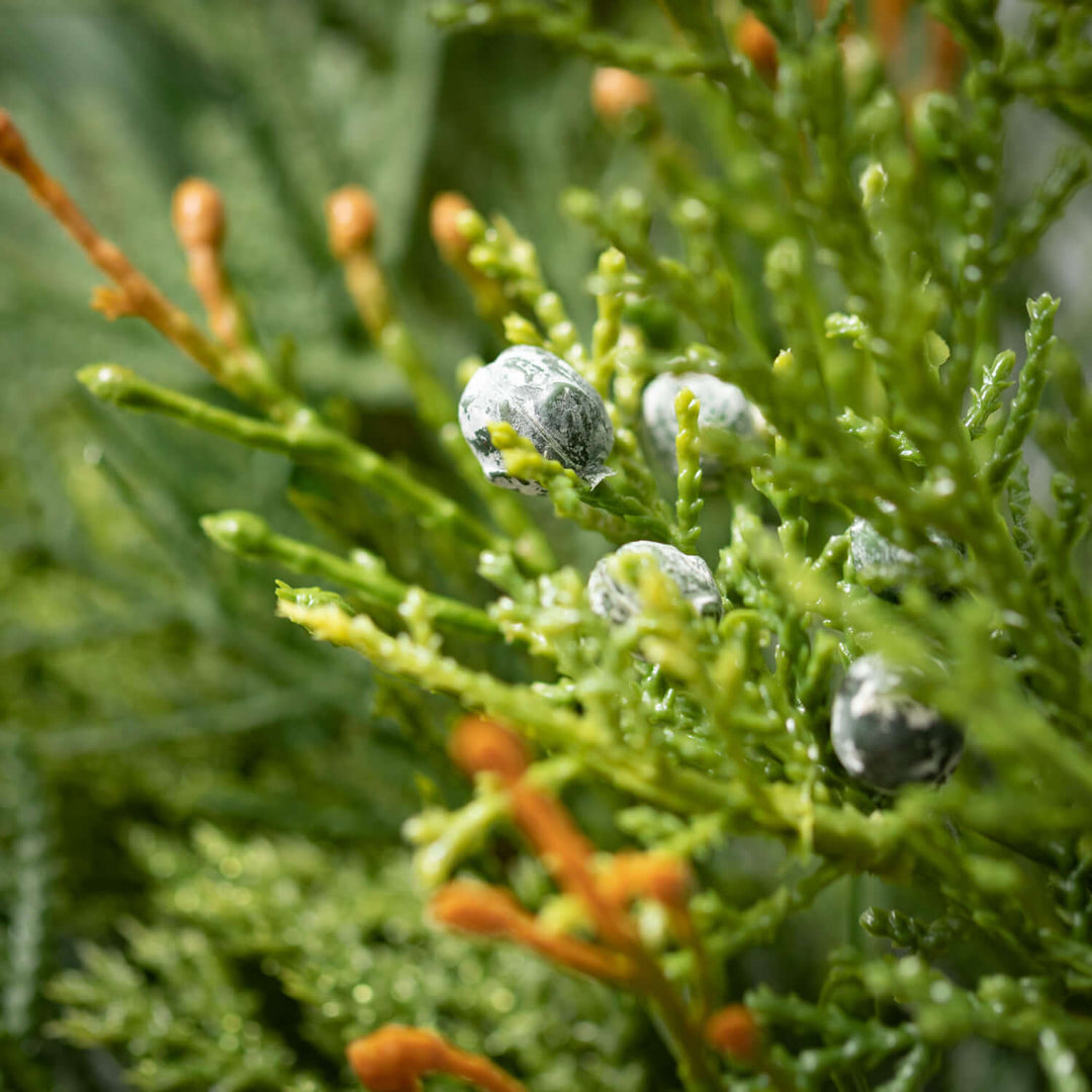 Lush Pine Pick