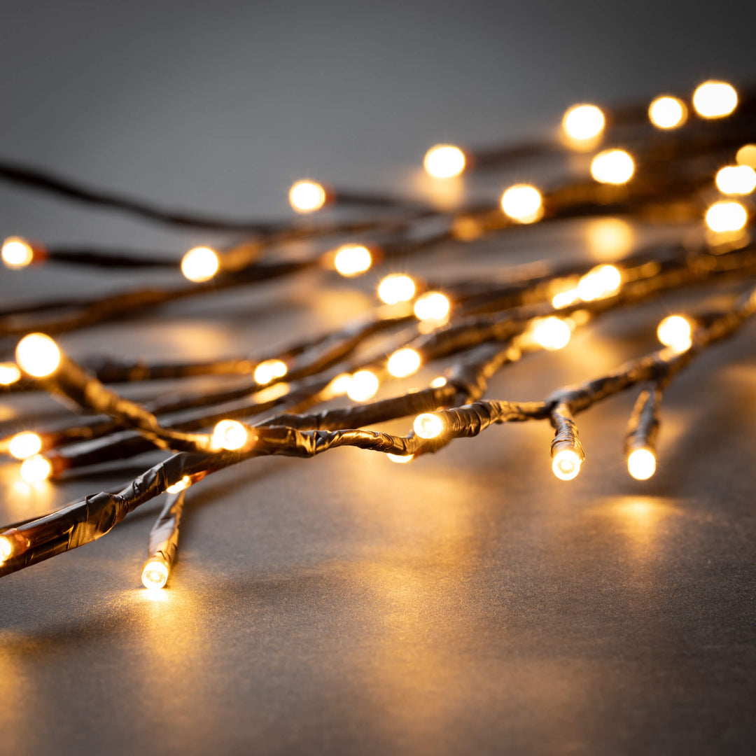 Lighted Bare Branch