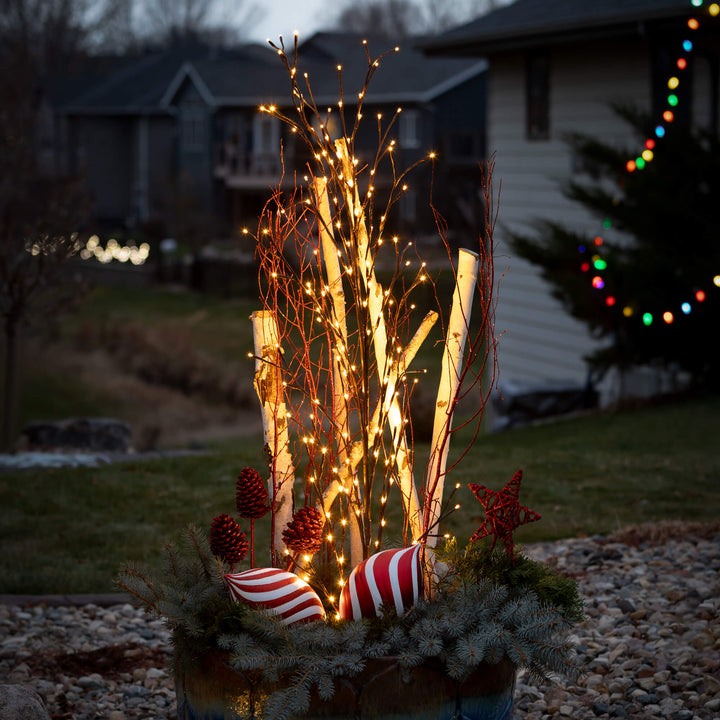 Lighted Bare Branch