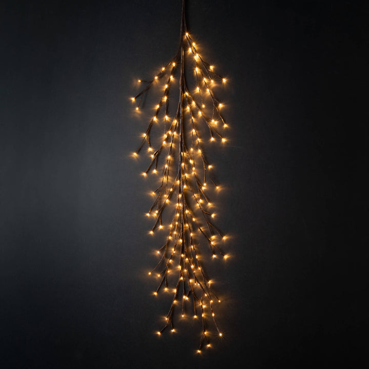 Lighted Bare Branch