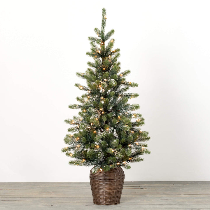 Potted Lit Iced Pine Tree, 4.5'